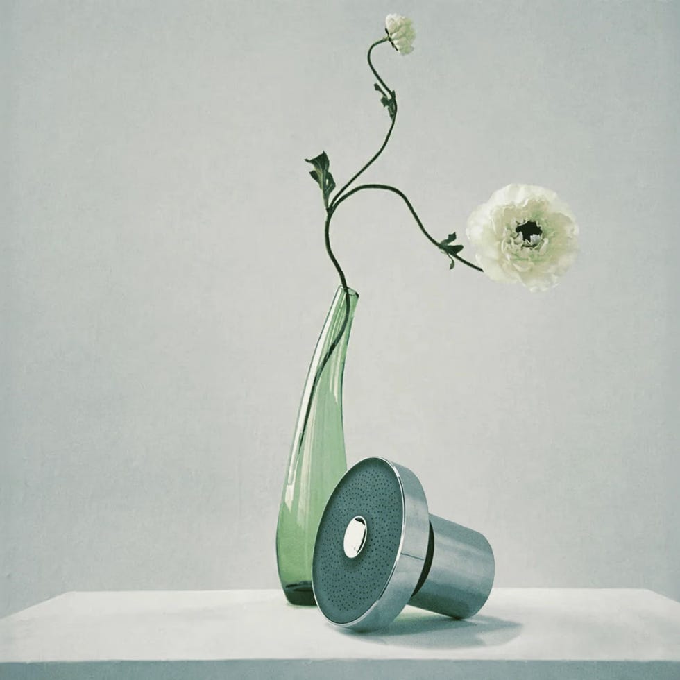 The Filtered showerhead