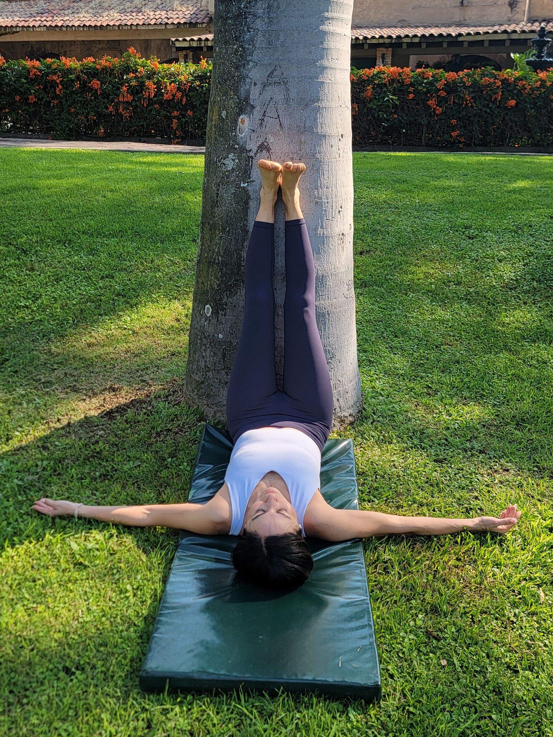 Woman demonstrating legs up the wall (viparita karani) yoga pose using a tree