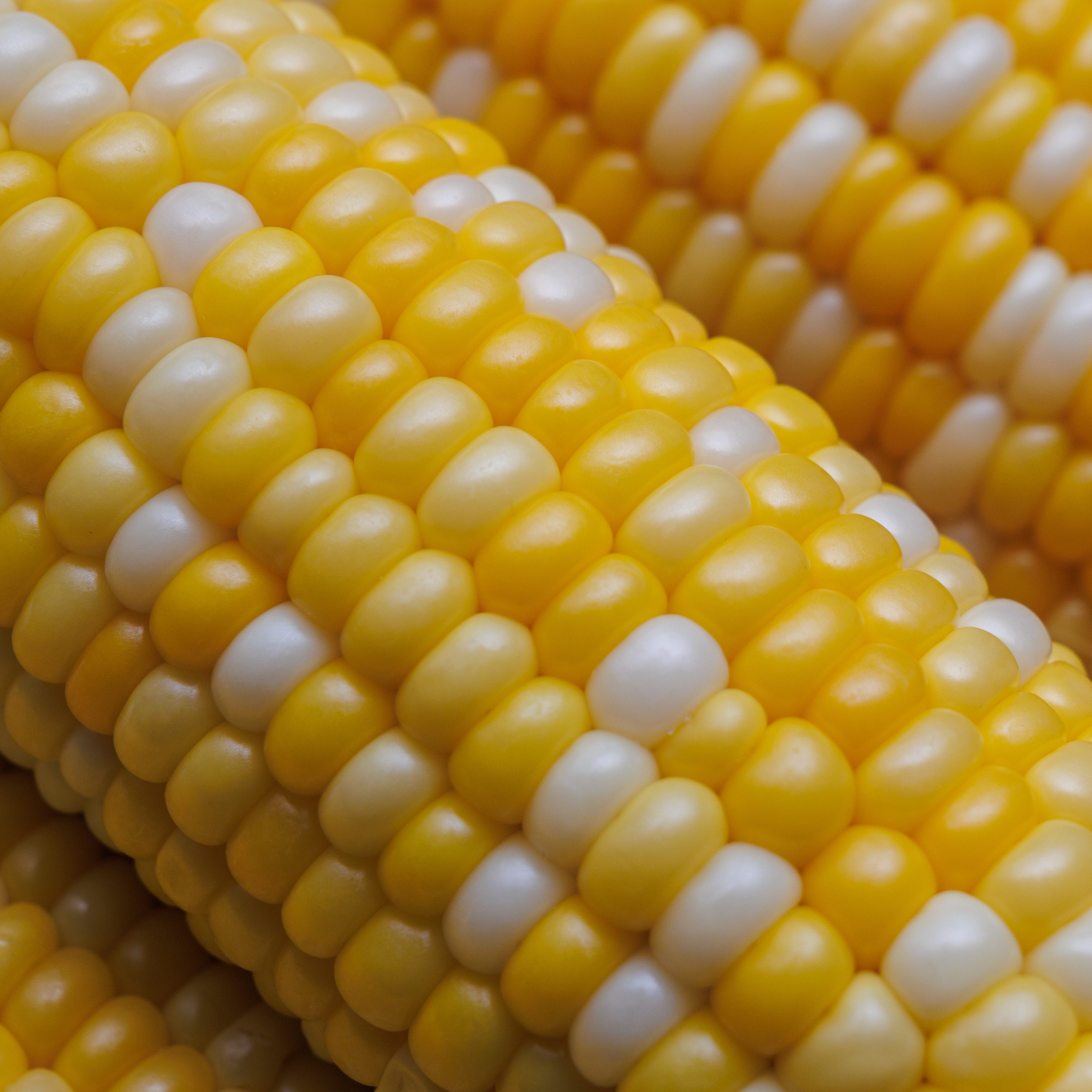 Yellow Corn