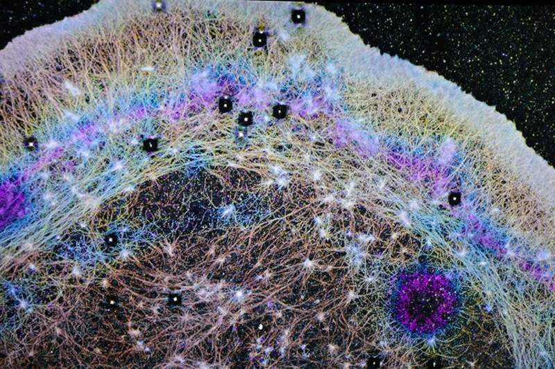 Oregon Health & Science University scientists capture a 3D single-molecule super-resolution microscopy image showing individual actin protein molecules inside a cell, each rendered as a single dot and captured at extraordinary detail — roughly 10,000 times finer than a human hair. (CREDIT: OHSU/Christine Torres Hicks)