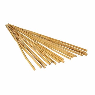 Hydrofarm Natural Bamboo Stakes — Pack of 25