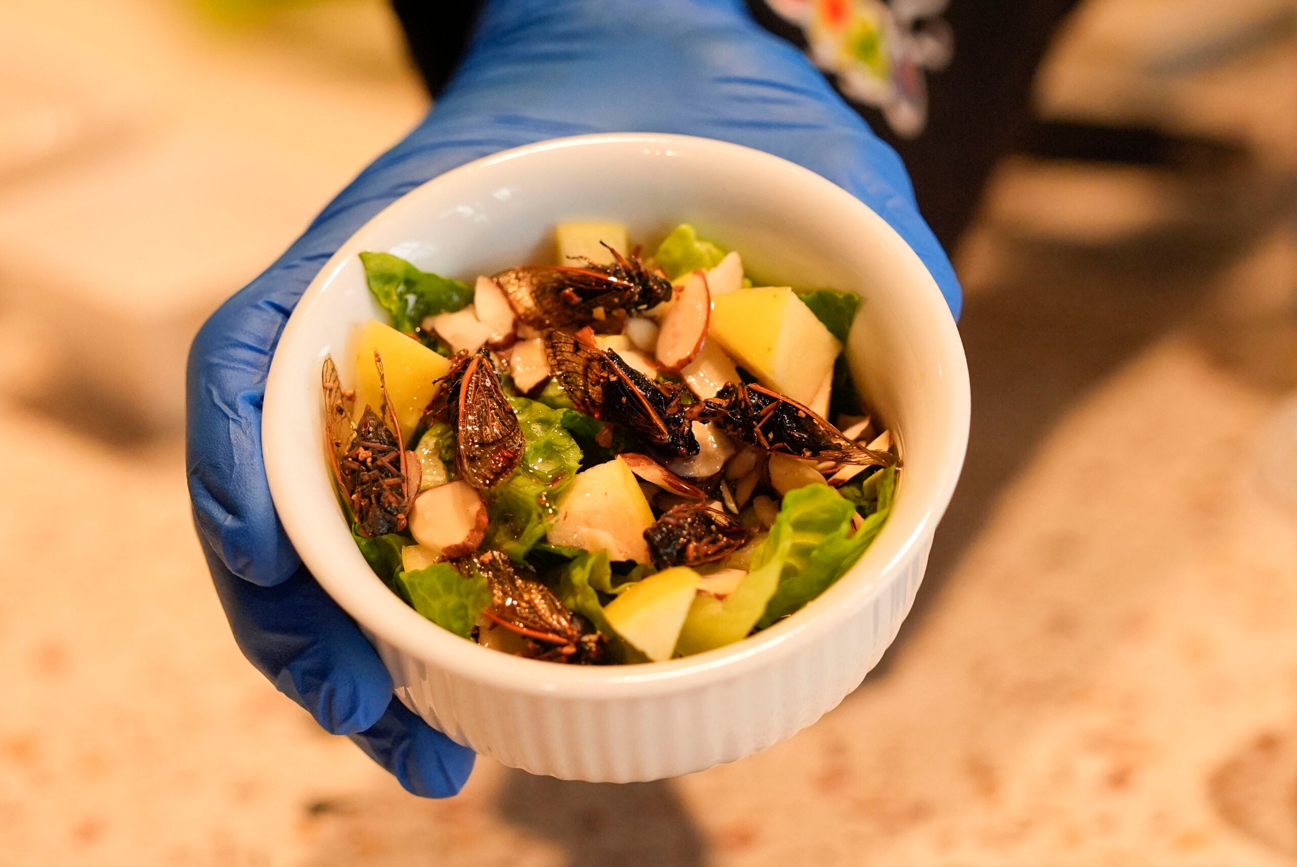 A gloved hand holds a bowl of salad with chopped apples, lettuce, sliced almonds, and roasted crickets.