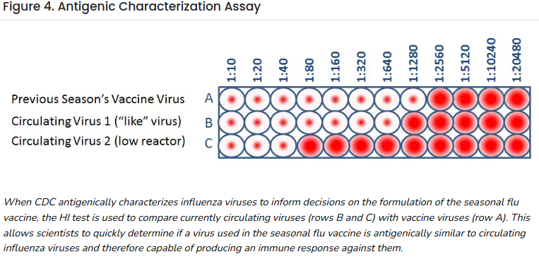 Characterisation of Immune Responses Targeting HPAI A(H5) Viruses in Health-care Workers in the Netherlands