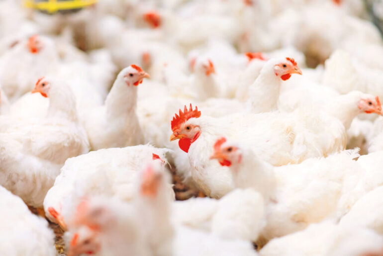 Leveraging precision nutrition with Xtract 6930