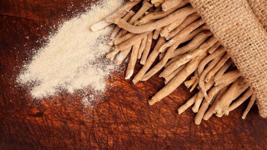 Government of India Ashwagandha Leaves in Supplements and Foods, Tightens Enforcement on Adulteration