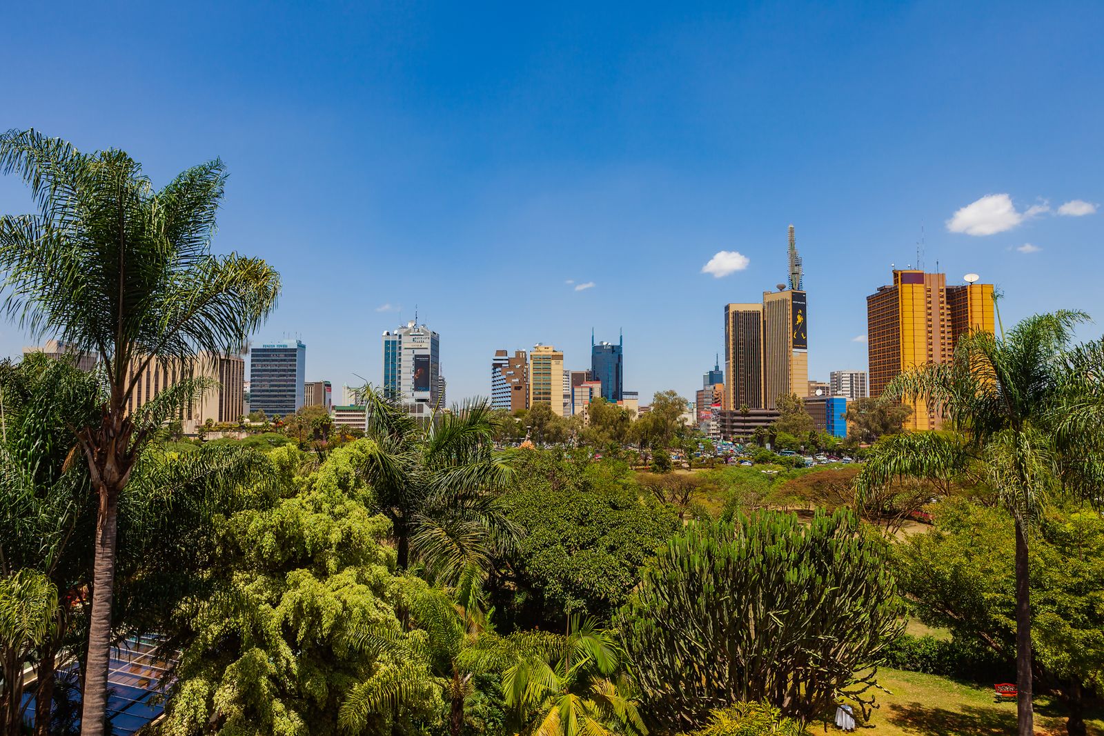 Image may contain Architecture Building Cityscape Urban City Plant and Vegetation