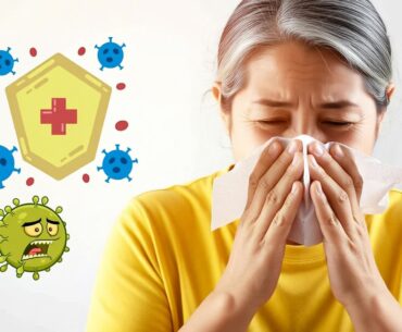 The elderly are more susceptible to illness during seasonal changes: Which aging mechanisms silently weaken immunit?