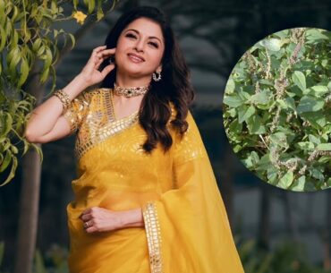 Bhagyashree’s Secret Immunity Superfood: Why Amaranth Leaves are Your Best Defense Against Pollution