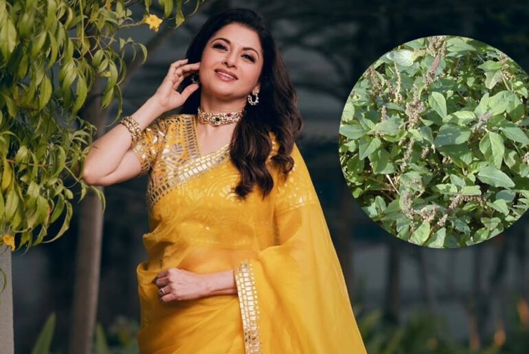 Bhagyashree’s Secret Immunity Superfood: Why Amaranth Leaves are Your Best Defense Against Pollution
