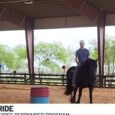 Reins of Hope offering new free wellness support for veterans and first responders