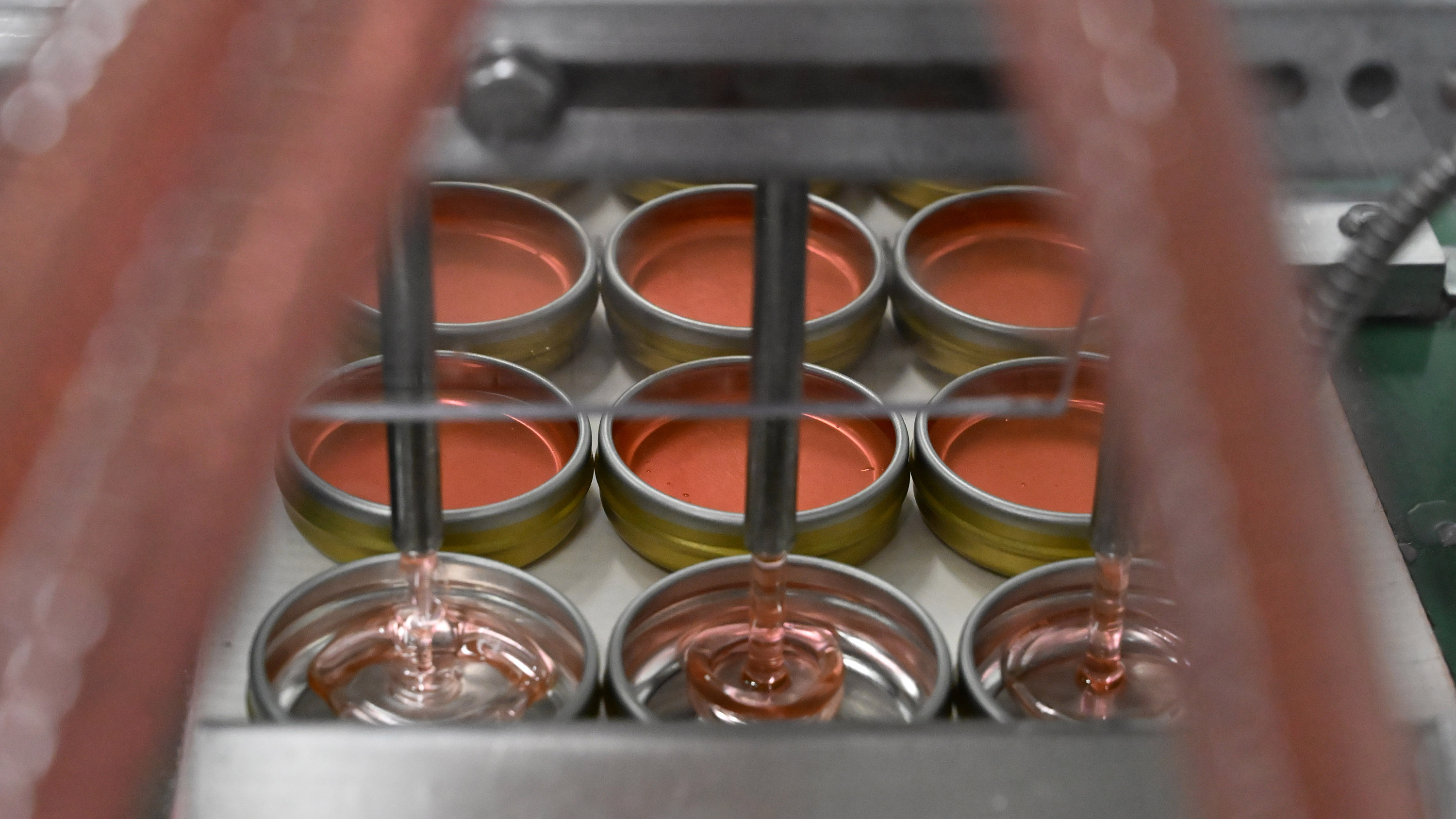 Tins of Smith's Strawberry Lip Balm are filled at Case...