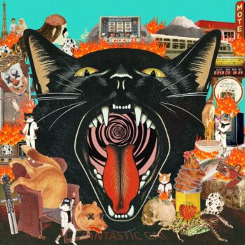 Cat Out of Hell - Fantastic Cat