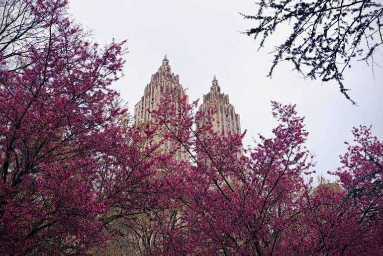 How Much Beauty Can You Take?