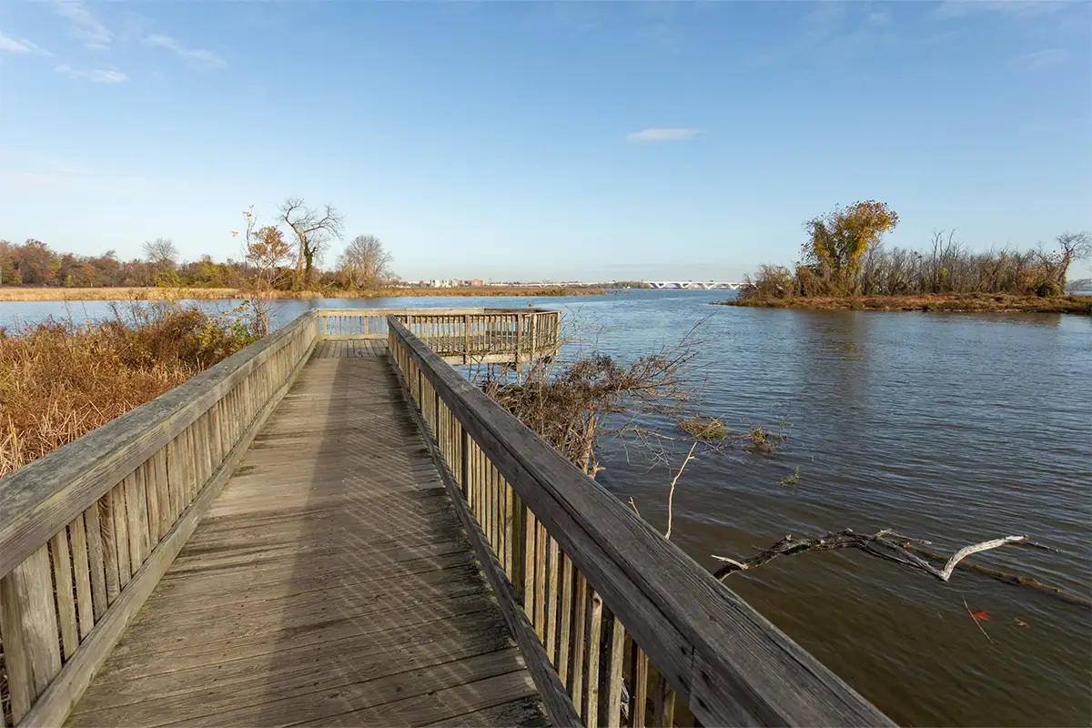 Dyke Marsh boardwalk trail overlooking water