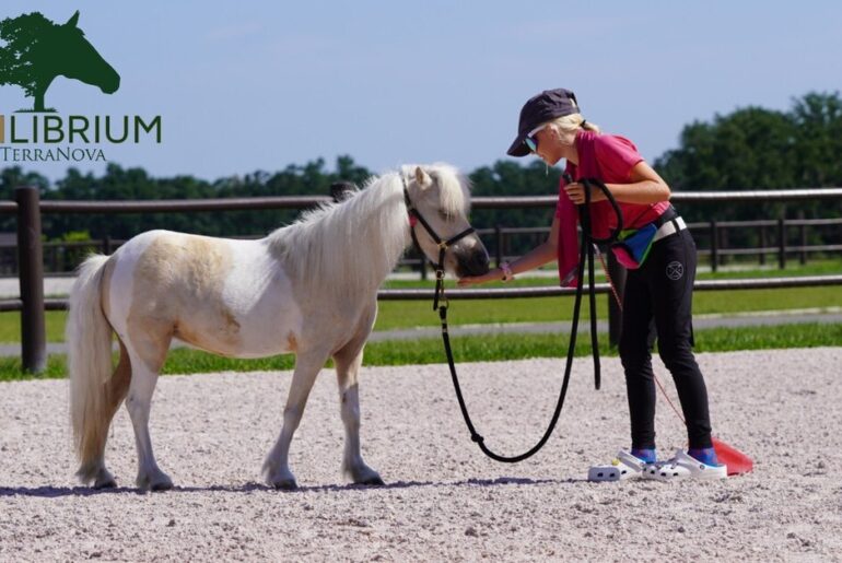 TerraNova's Equilibrium Program Expands Community Access to Wellness Through Horses