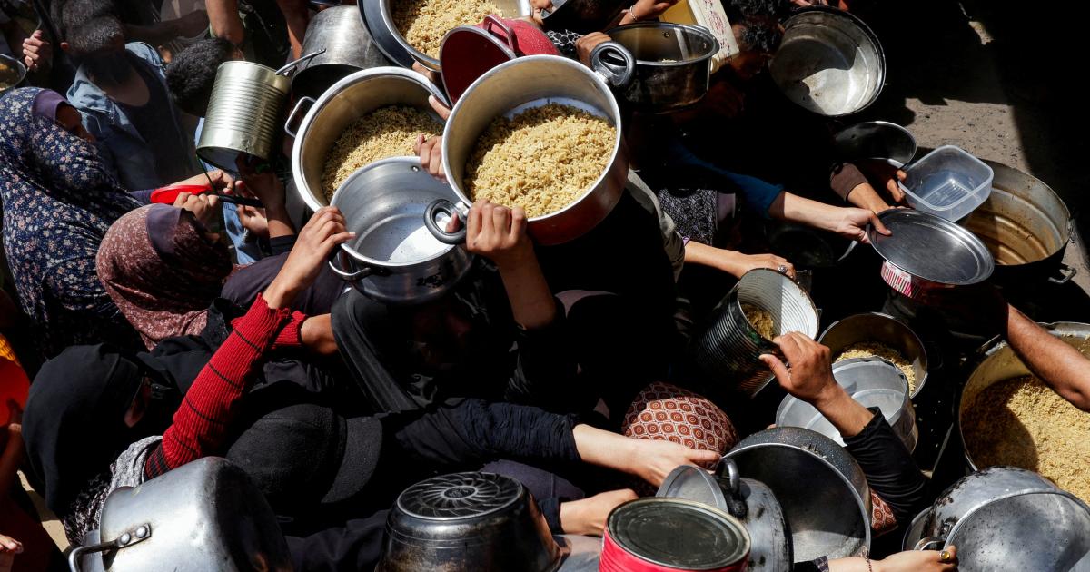 Food crises: no respite as 1.4 m people suffer the most severe level of food insecurity in 2025