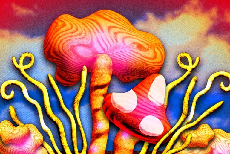 What Mushroom Supplements Can Do for Stress, Sleep, and Energy, According to Experts