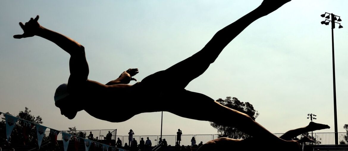 Balancing the Basics, Mastering Macro and Micronutrients for Swimmers