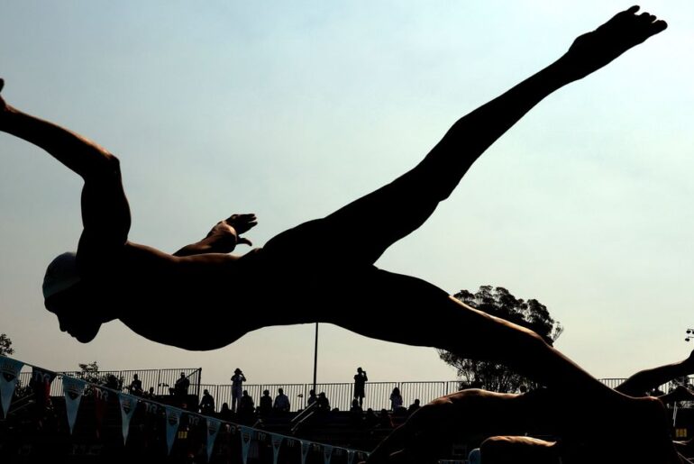 Balancing the Basics, Mastering Macro and Micronutrients for Swimmers