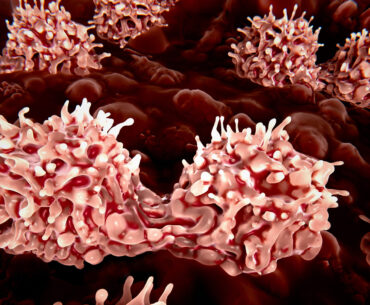 Stem Cell Editing Programs the Immune System to Make Own Therapeutic Proteins