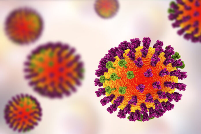 Influenza viruses illustration