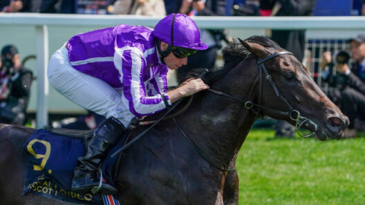 Aidan O'Brien Supplements Gstaad For 2000 Guineas