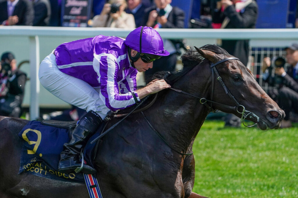 Aidan O'Brien Supplements Gstaad For 2000 Guineas