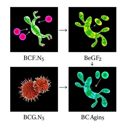 How Bacteria Outsmart Plant Immune Defenses — Biology