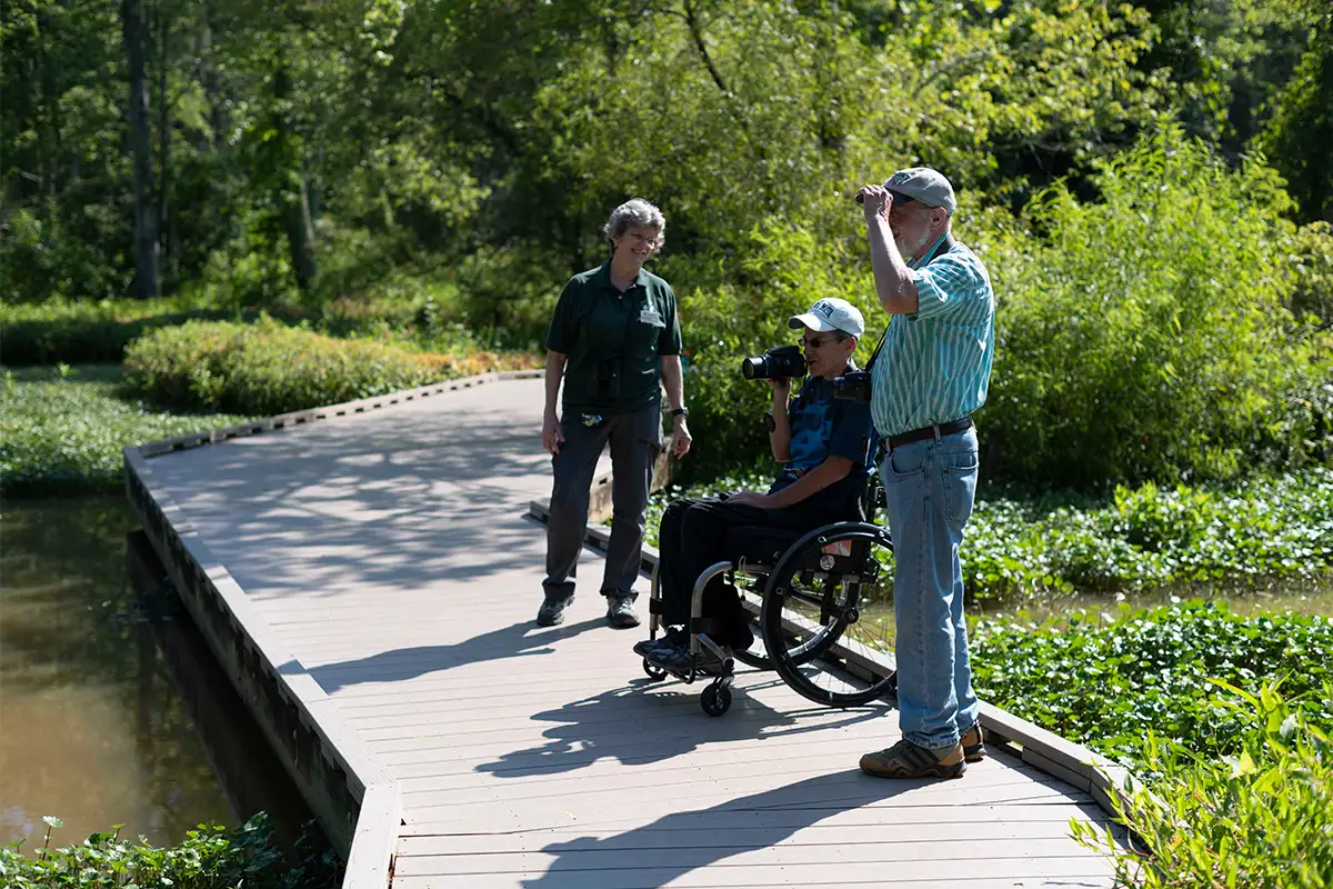 People looking at scenery at Huntley Meadows Park (accessible trail)