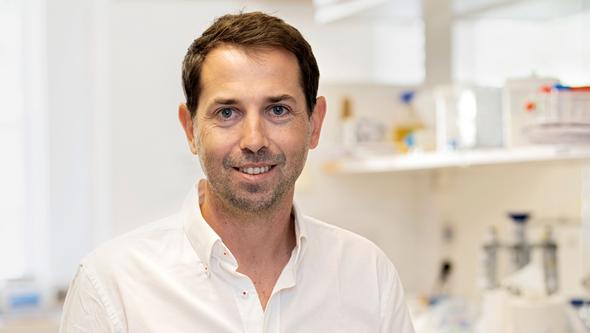 Early Immune Response Tied to HIV Antibody Defense