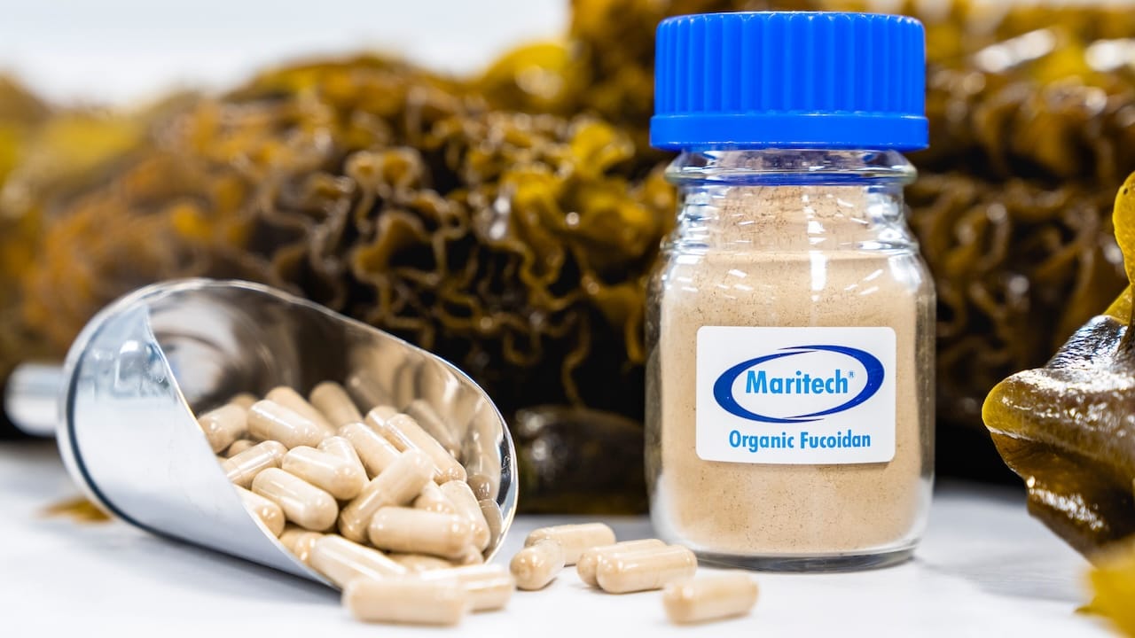 Marinova Maritech fucoidan seaweed extract