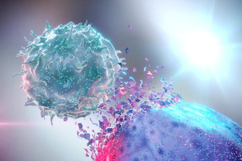 Natural Killer NK Destroying Cancer Cell