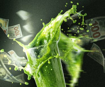 Superfood and greens powders have become a multibillion-dollar staple of the modern wellness routine.