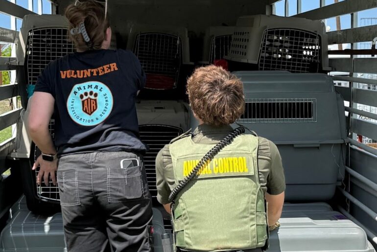 Parker County Sheriff’s Office Applauded for Dismantling Illegal Cockfighting Syndicate