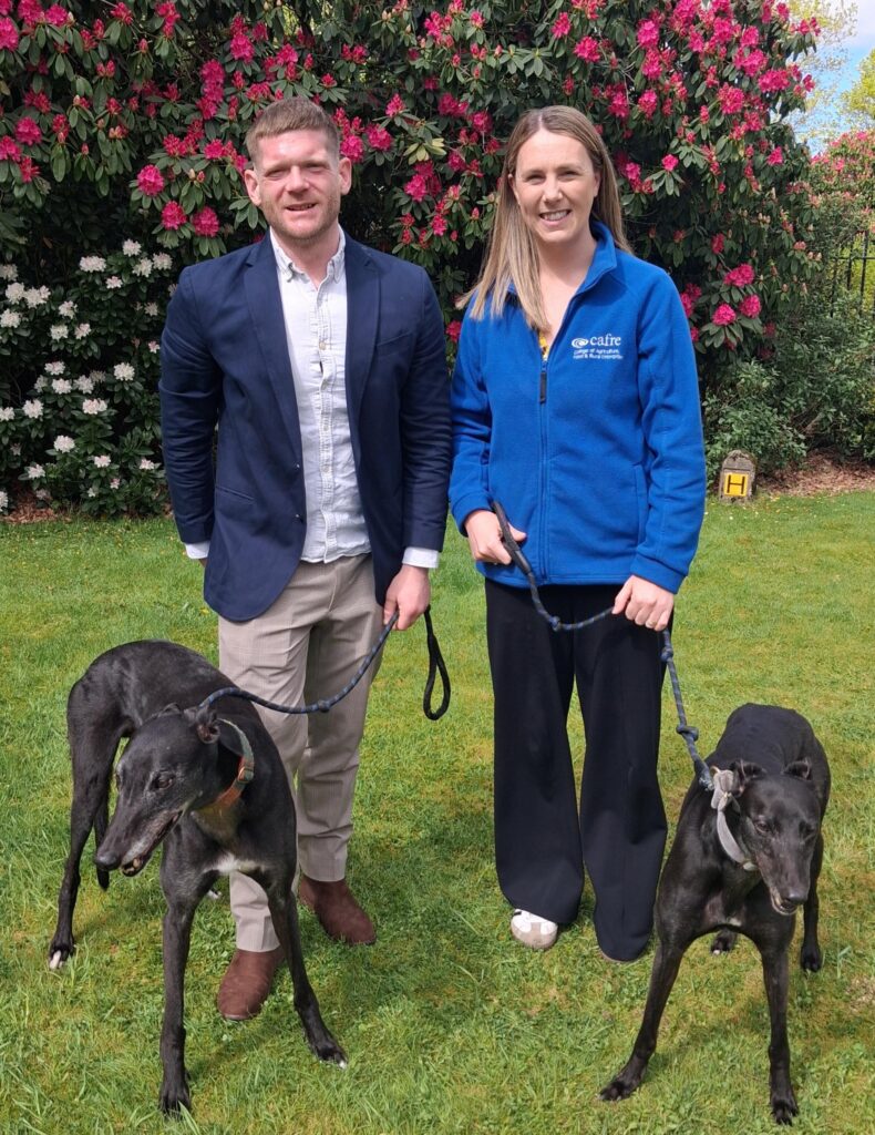 CAFRE supports innovation in pet nutrition through Invest NI funded collaboration