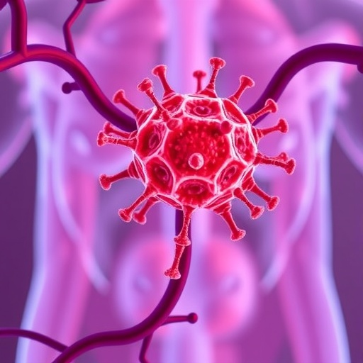 Researchers Uncover Mechanisms of Key Immune Cells in Prostate Protection