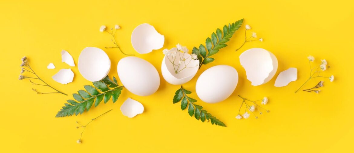 How eggshell membrane collagen can be upcycled for health and beauty