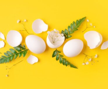 How eggshell membrane collagen can be upcycled for health and beauty