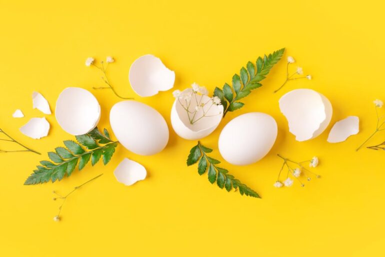 How eggshell membrane collagen can be upcycled for health and beauty