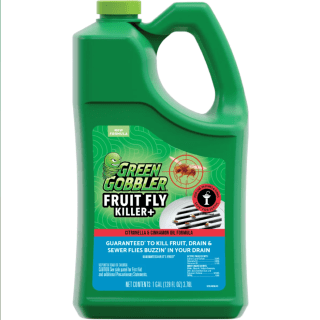 Green Gobbler Fruit Fly Killer