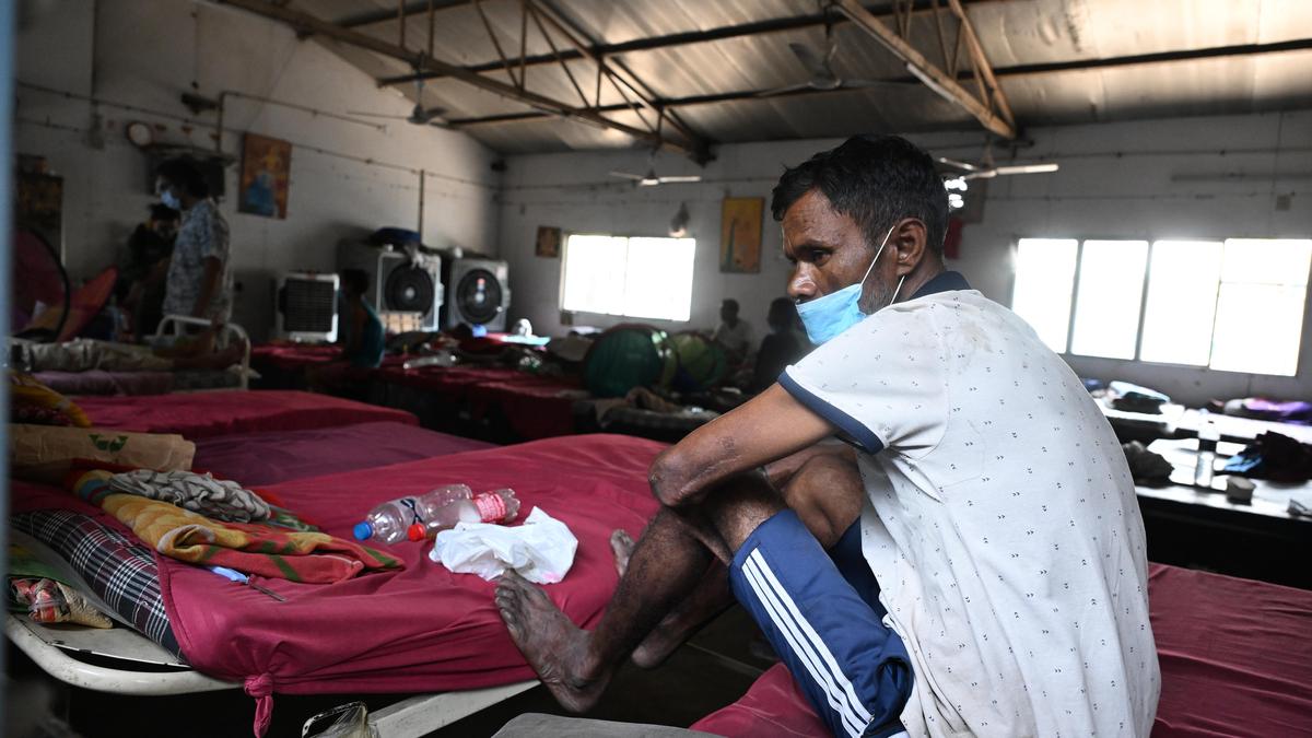 Study highlights role of timely nutrition support in improving TB care