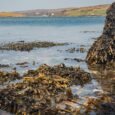 Why Irish seaweed bathing is the newest wellness trend to try