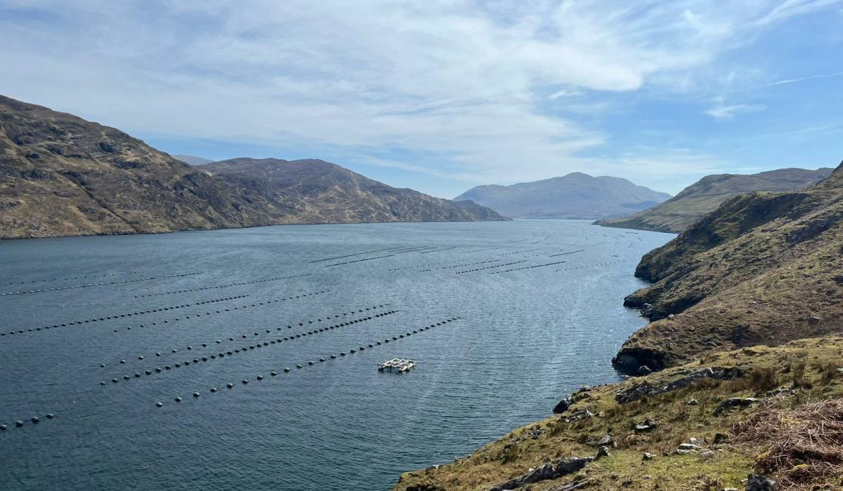 Offaly columnist reflects on the wild and unspoilt beauty of Connemara