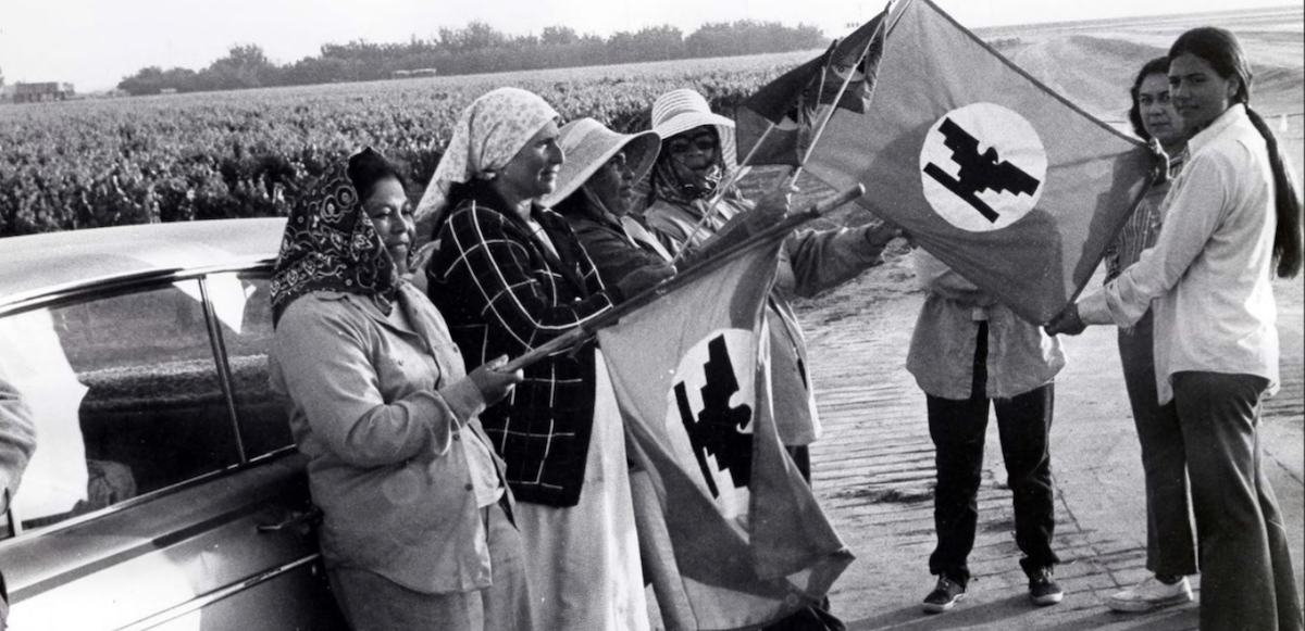 Lack of Democracy in United Farm Workers Gave Chavez Immunity