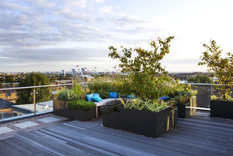 A rooftop seating area with amelanchier and olives in containers