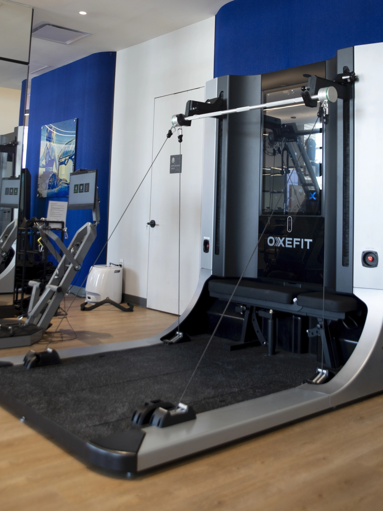 Modern gym interior with exercise machines and blue accent walls.