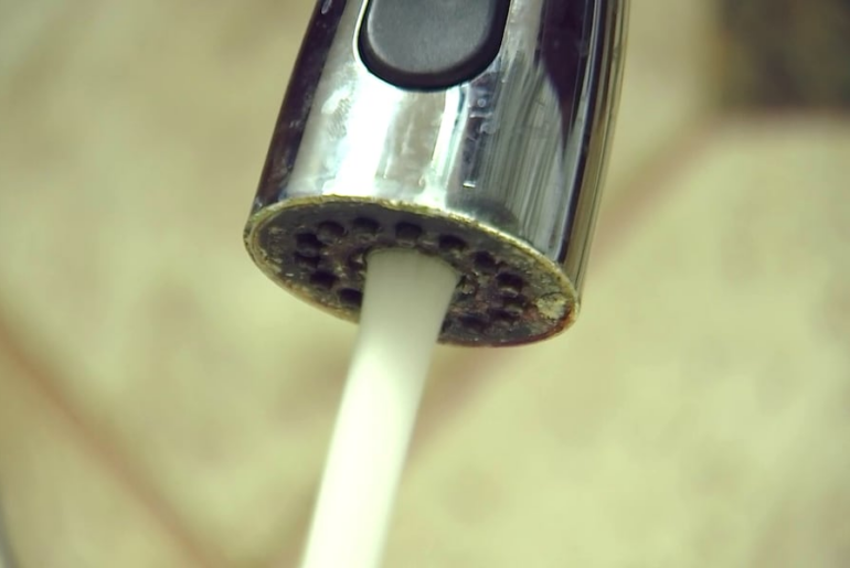 MSU study links PFAS exposure to weakened immune system