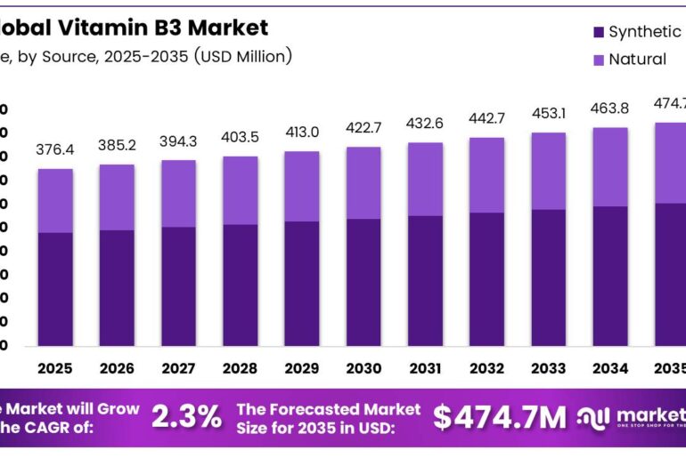 Vitamin B3 Market