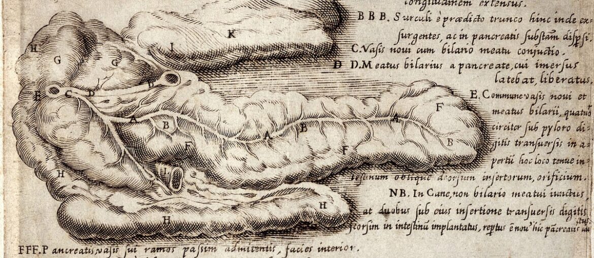 mRNA therapy thwarts pancreatic tumor immune evasion