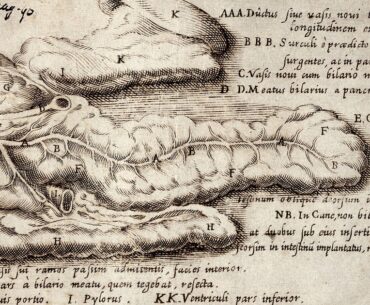 mRNA therapy thwarts pancreatic tumor immune evasion